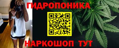 индика Донецк