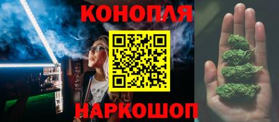 крисы Донской