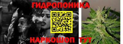индика Донецк